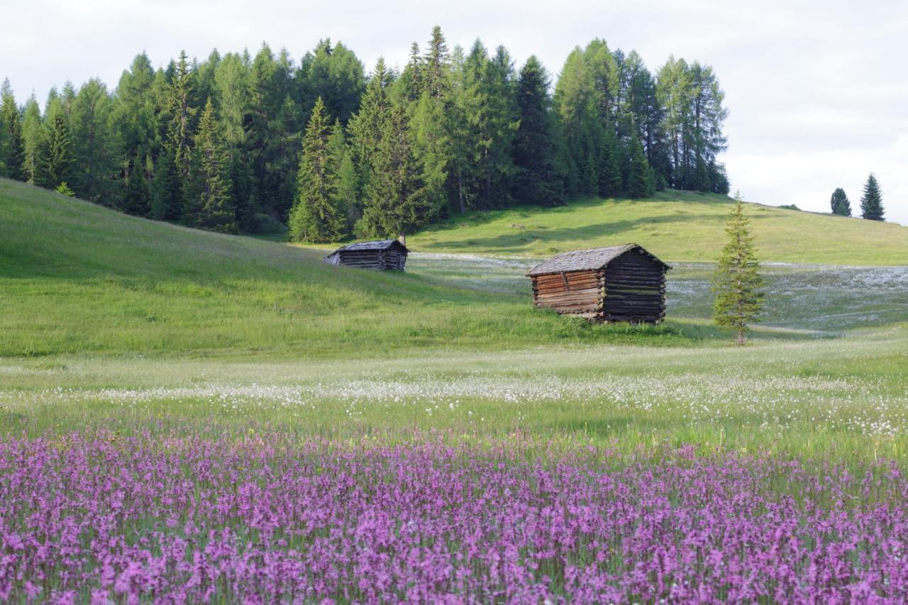 Luech De Martin Διαμέρισμα La Valle Εξωτερικό φωτογραφία
